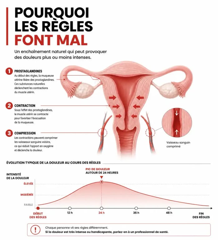 Schéma du mécanisme des douleurs de règles et rôle des prostaglandines dans l'utérus